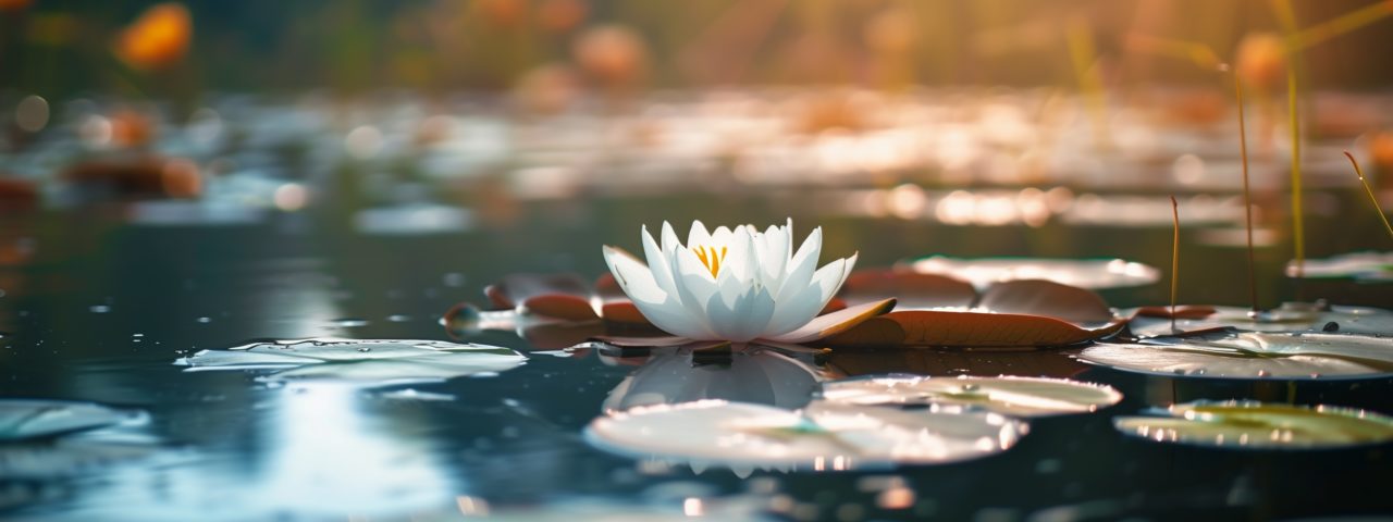 Jantar temático de White Lotus é servido no hotel onde a série foi filmada